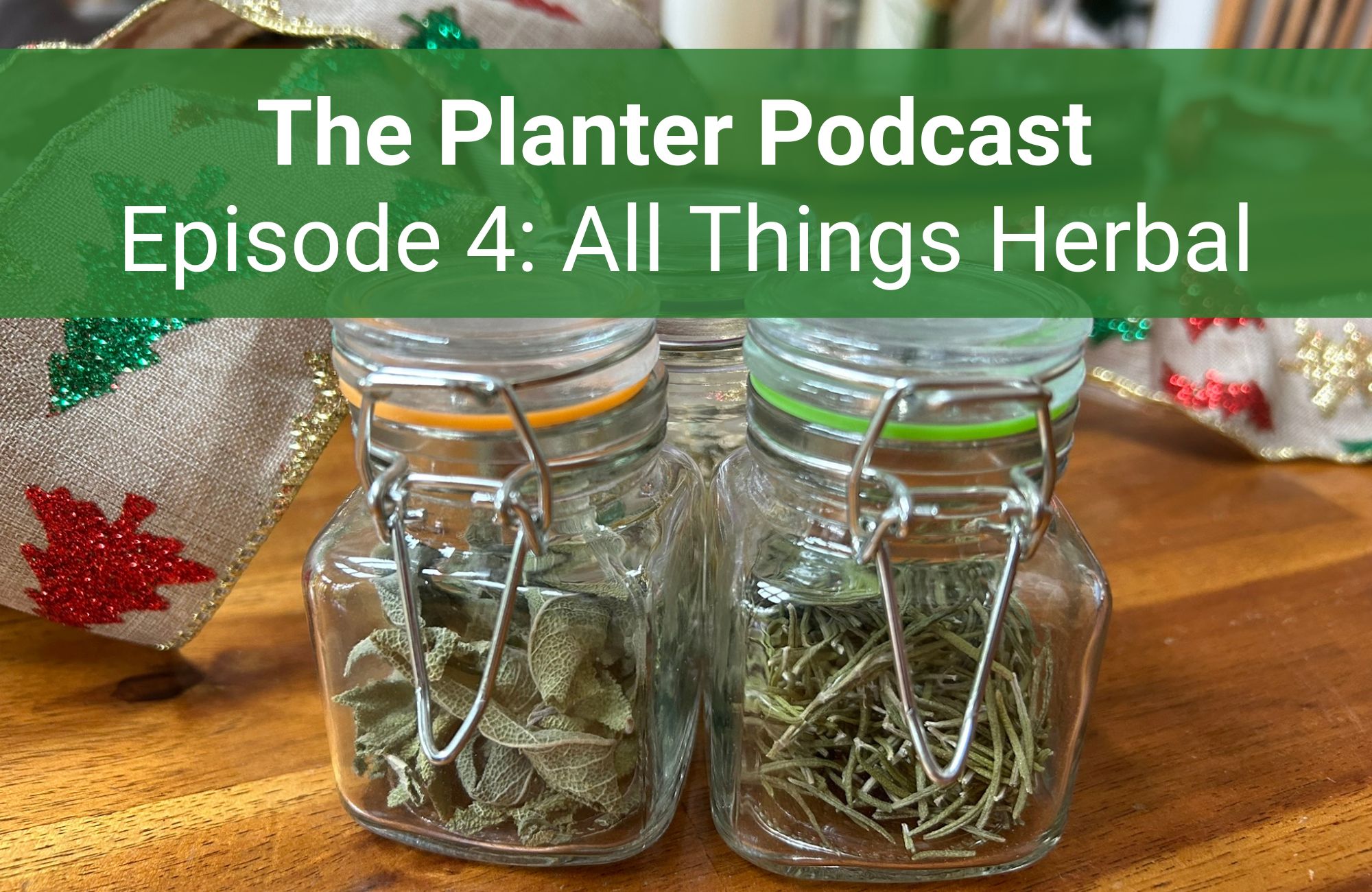 Glass jars filled with herbs surrounded by Christmas ribbon, with text The Planter Podcast Episode 4 All Things Herbal