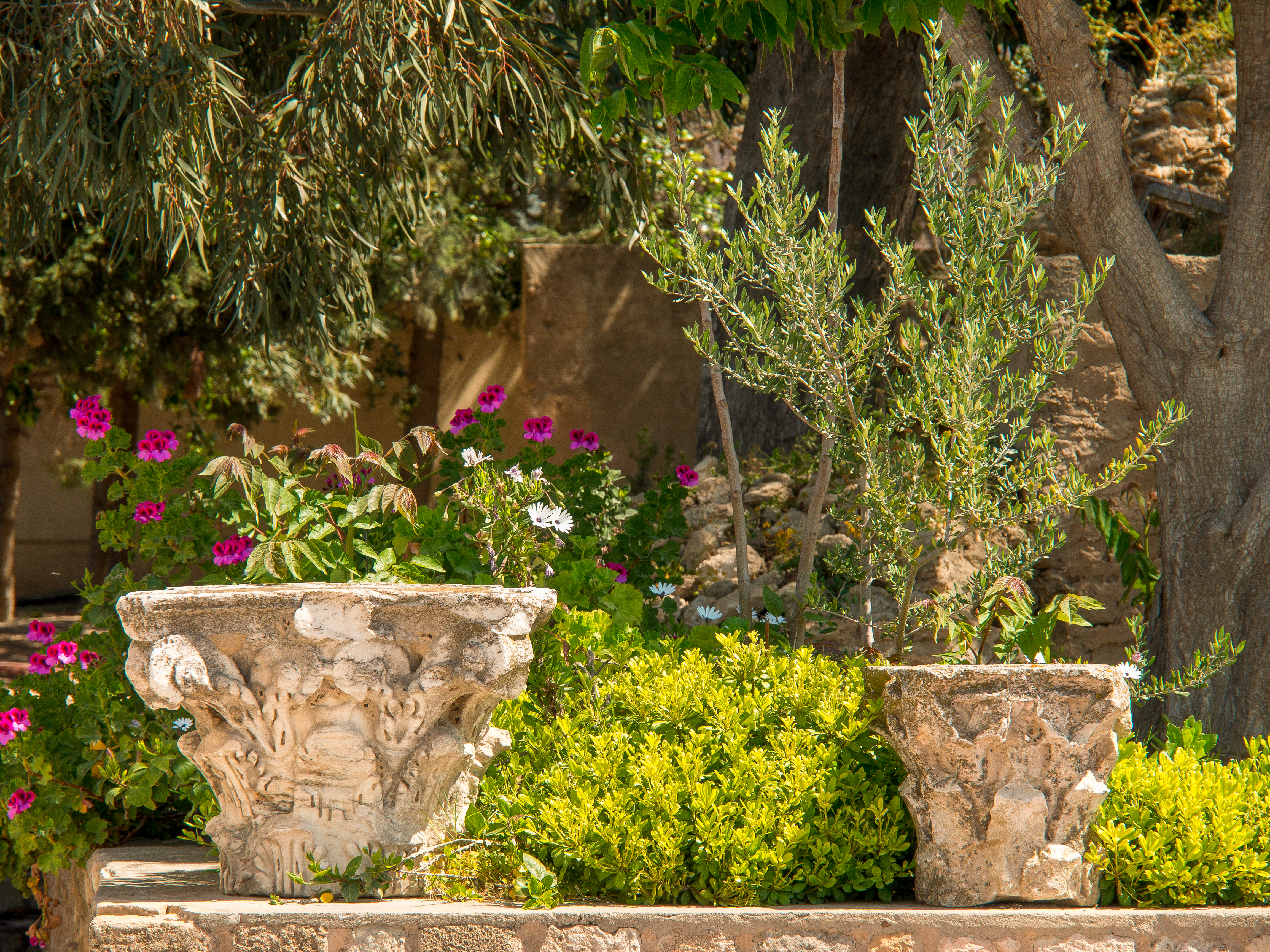 Small harvested herb garden
