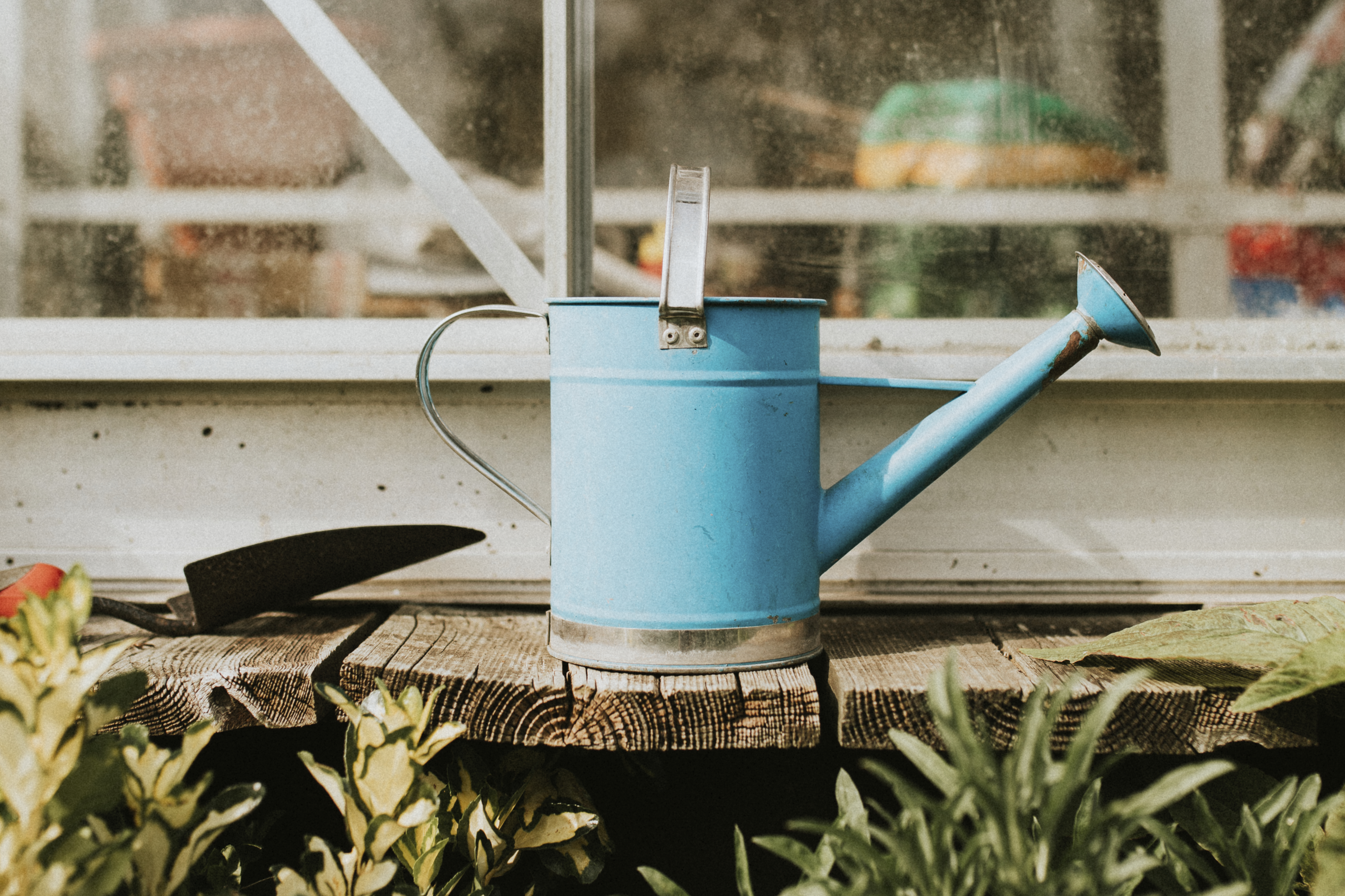 Watering can in the garden