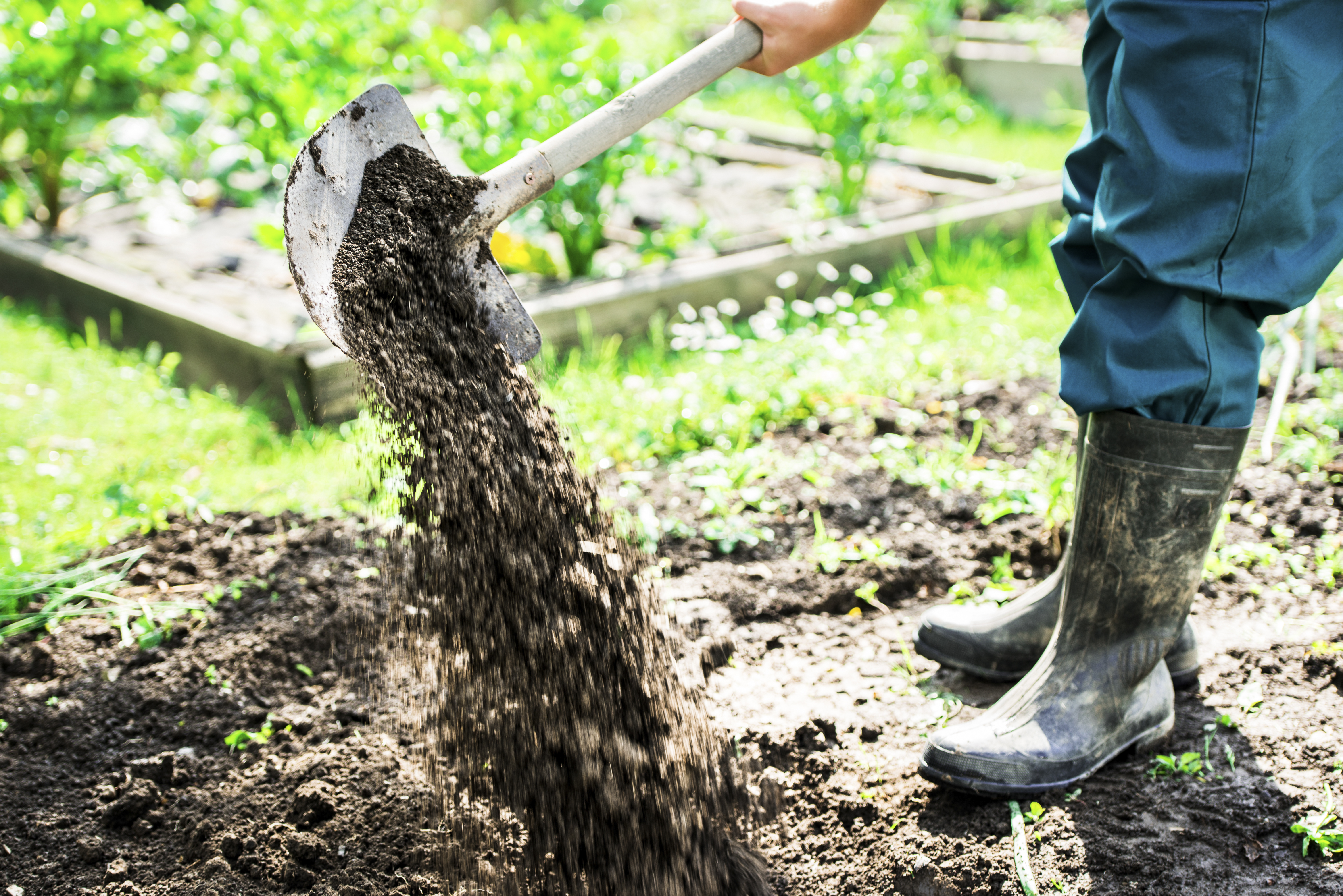 Gardener digging and adding compost to the garden