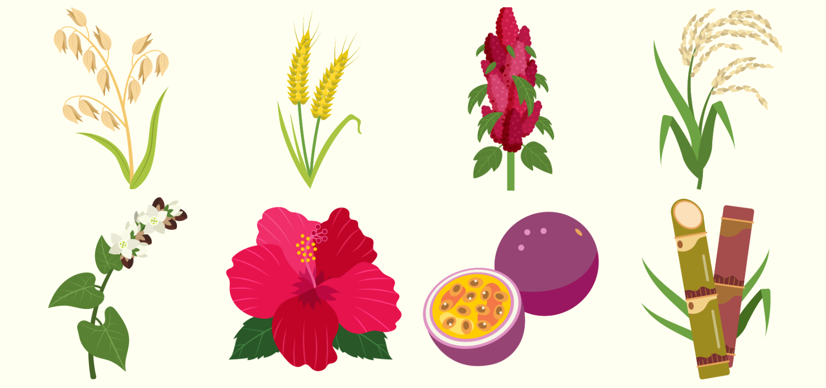 Icons for eight new plants in Planter