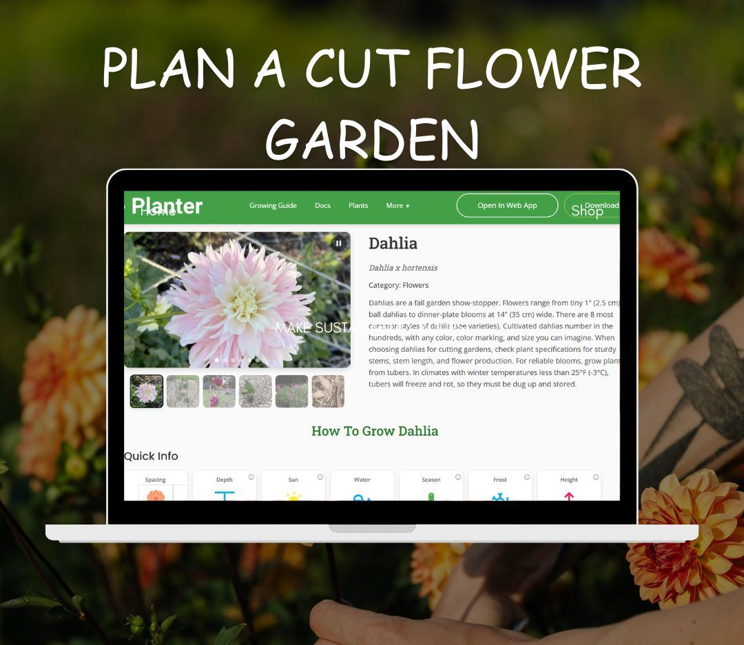 planter garden planner on laptop screen surrounded by flowers in background