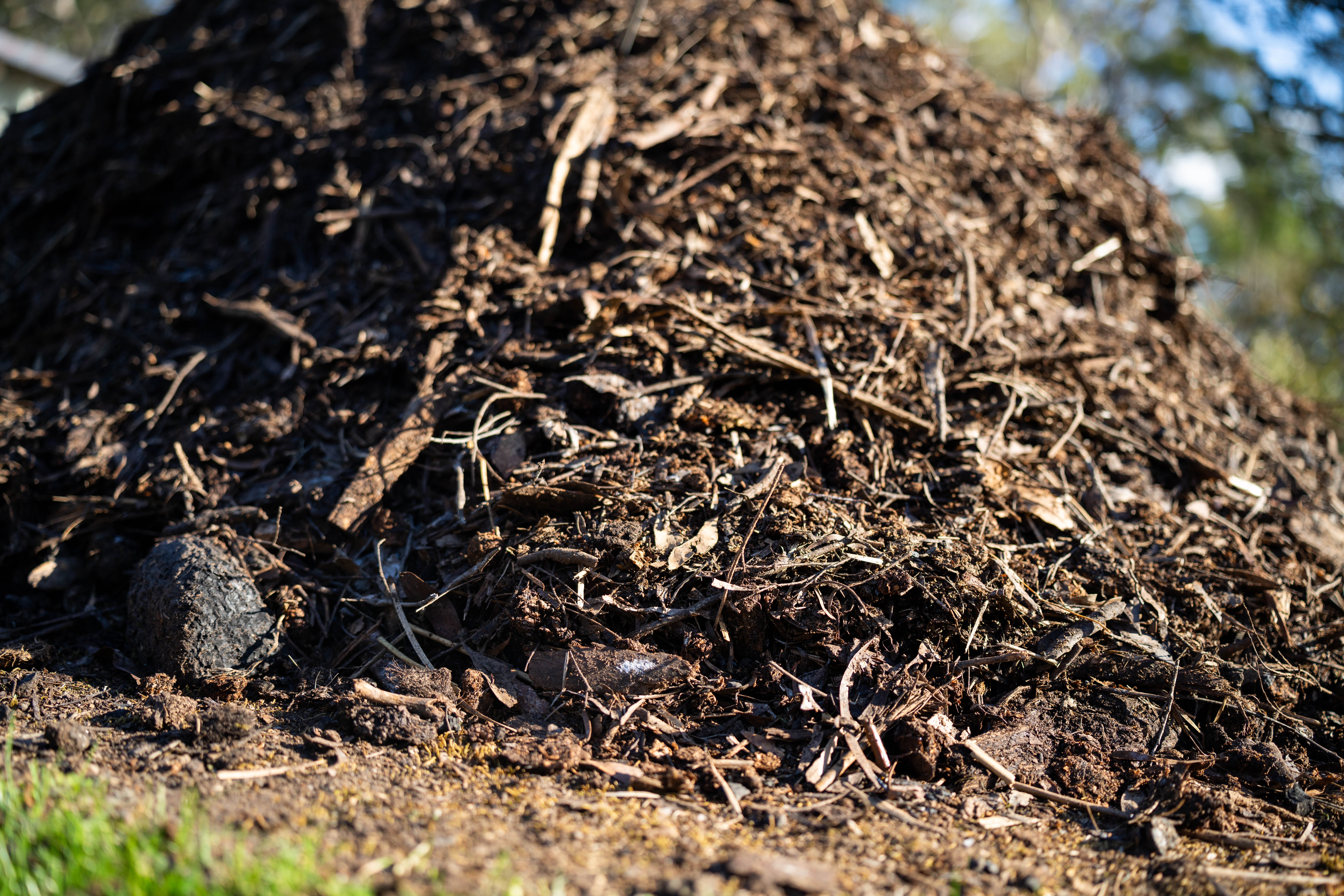 Compost pile