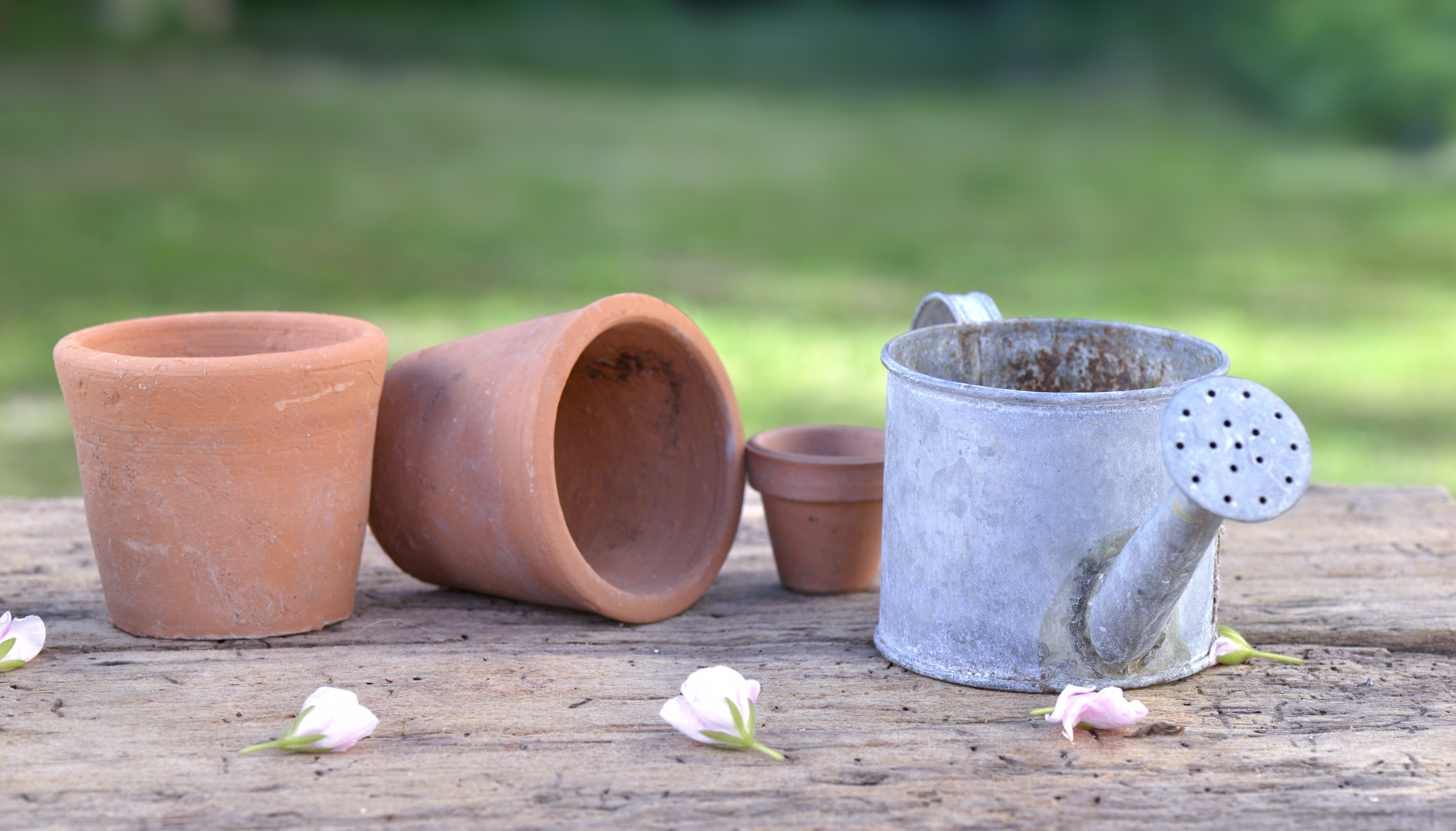 Pots and a watering can