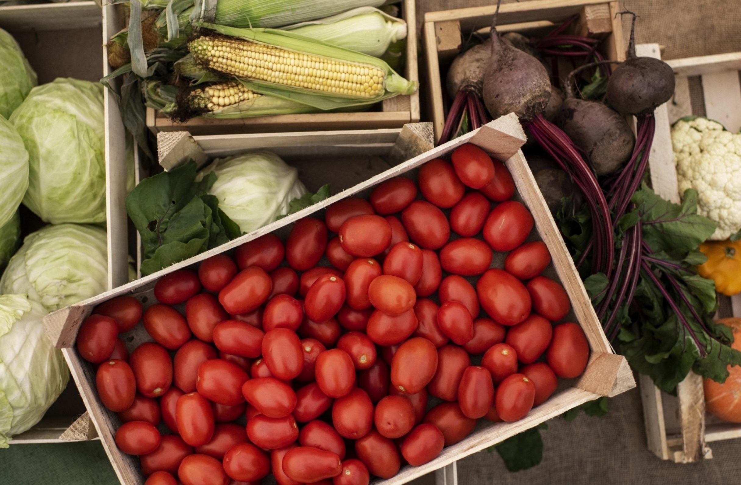 Fresh vegetables in wooden crates