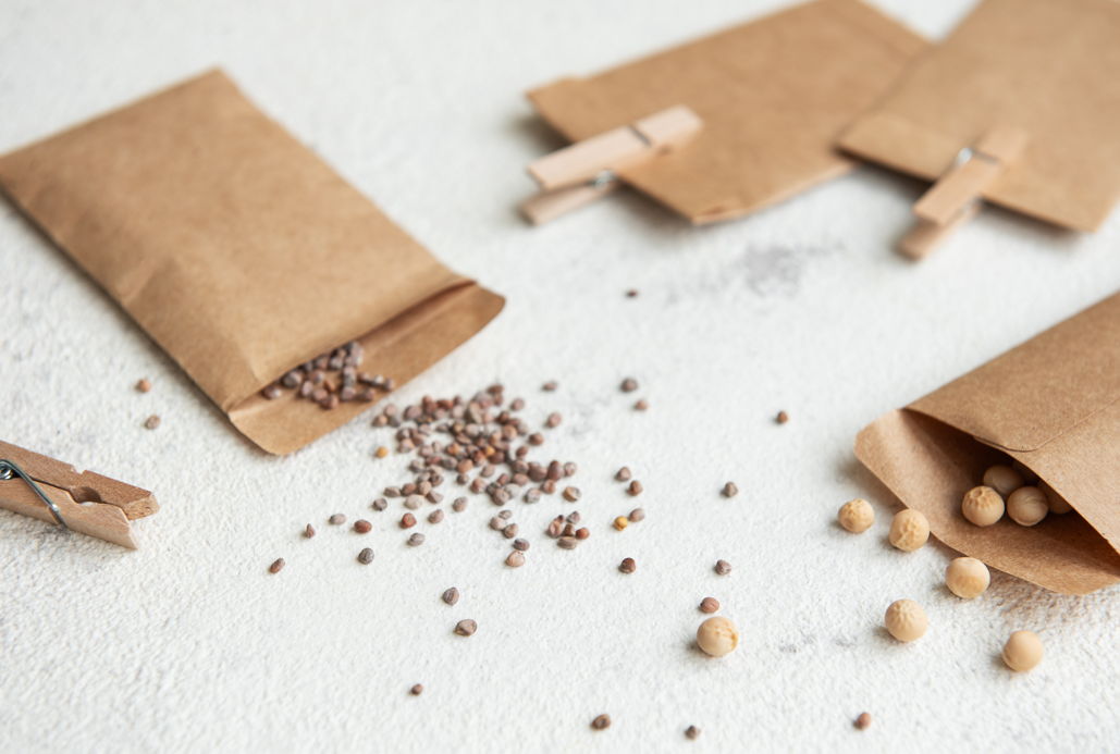 Paper seed packets with some seeds spilling out on a white background