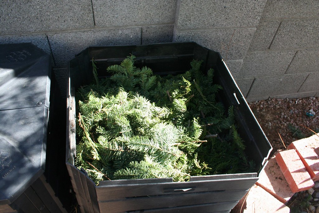 Composting a tree in an Arizona garden