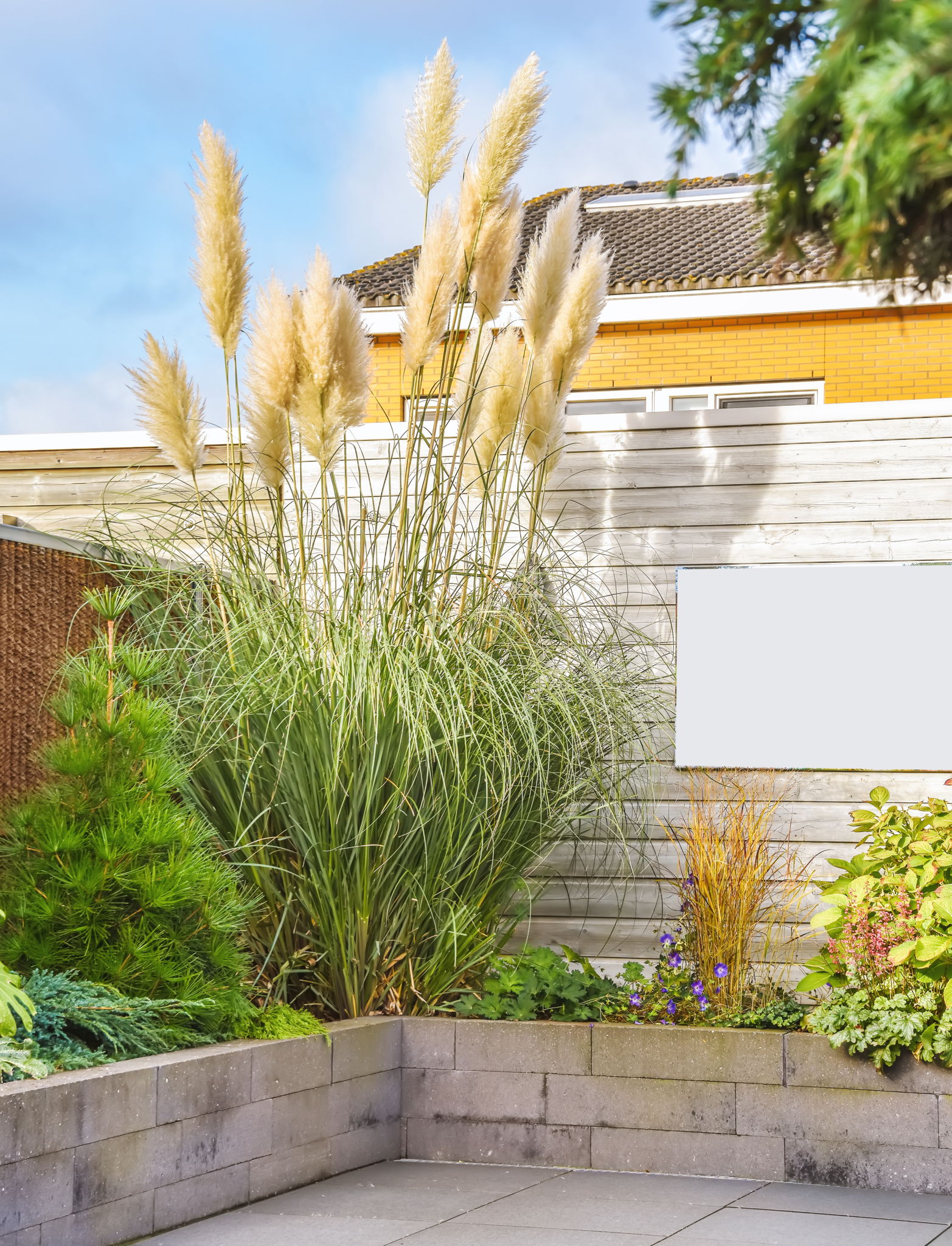 Courtyard with raised beds and grasses