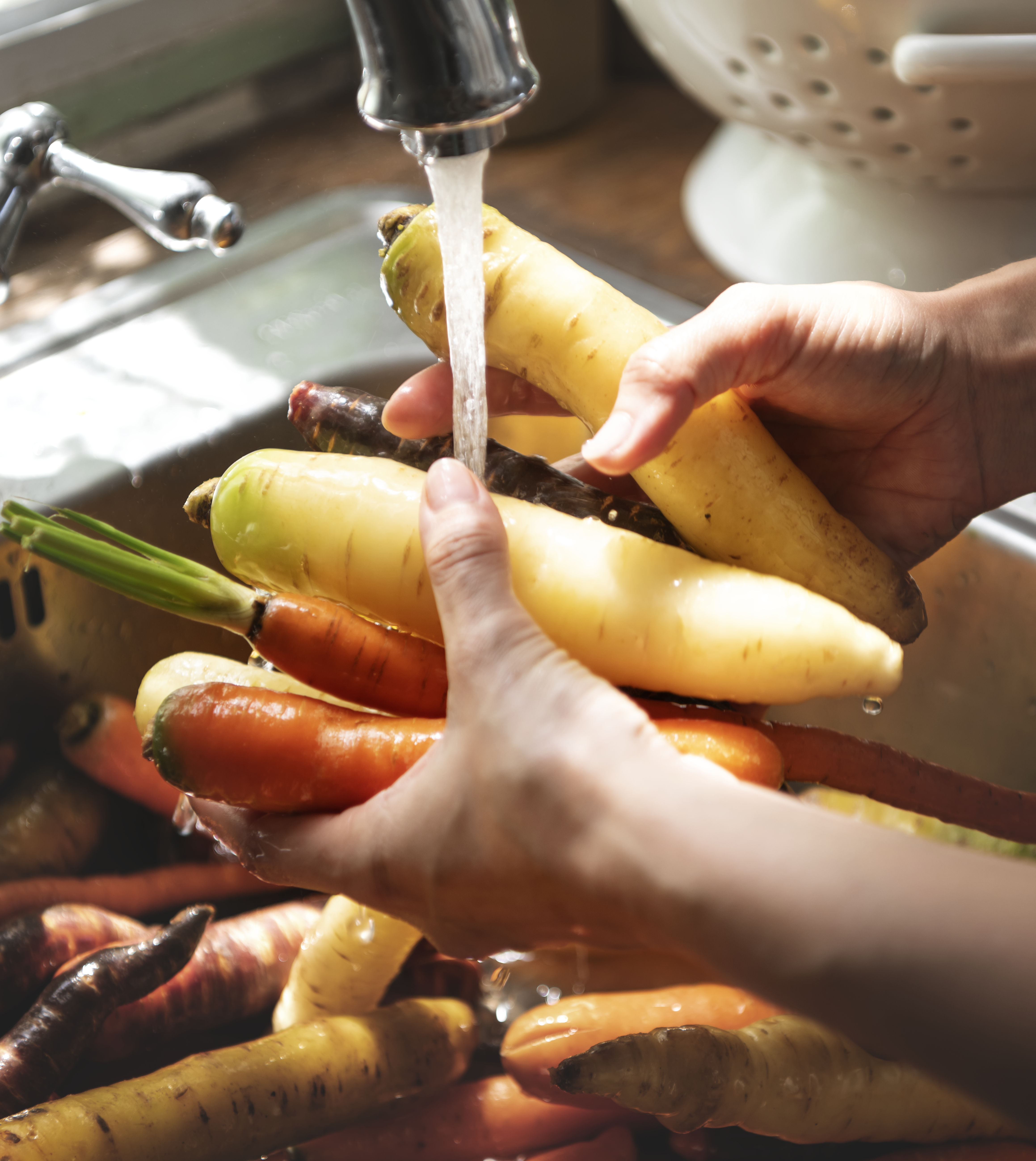 Washing root vegetables in the sink and collecting the water