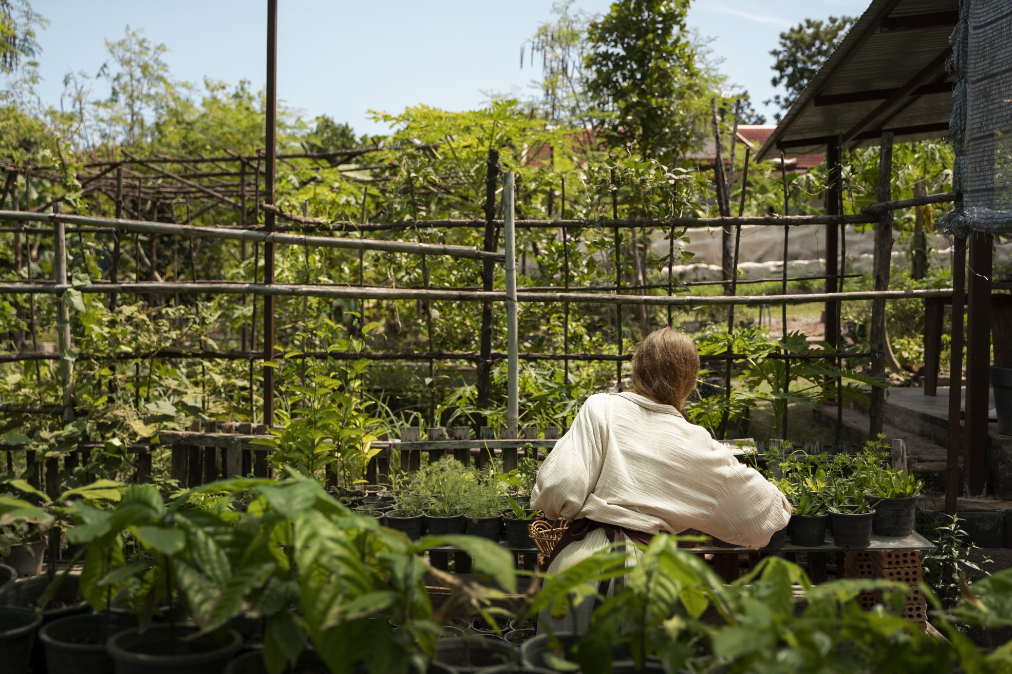 A woman in a white shirt surrounded by plants in a shaded garden