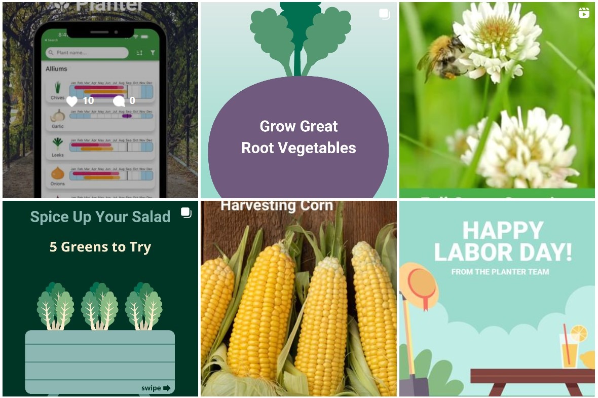 A screenshot of the @planterapp Instagram page
