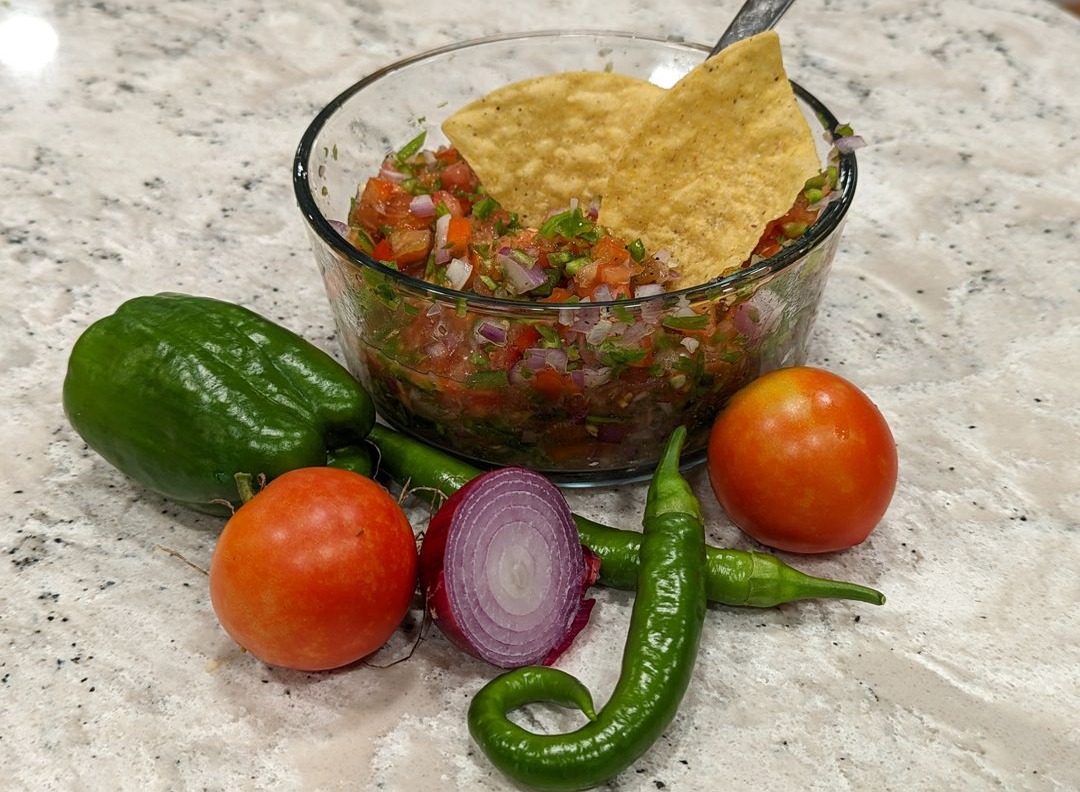 Fresh homemade salsa and salsa ingredients