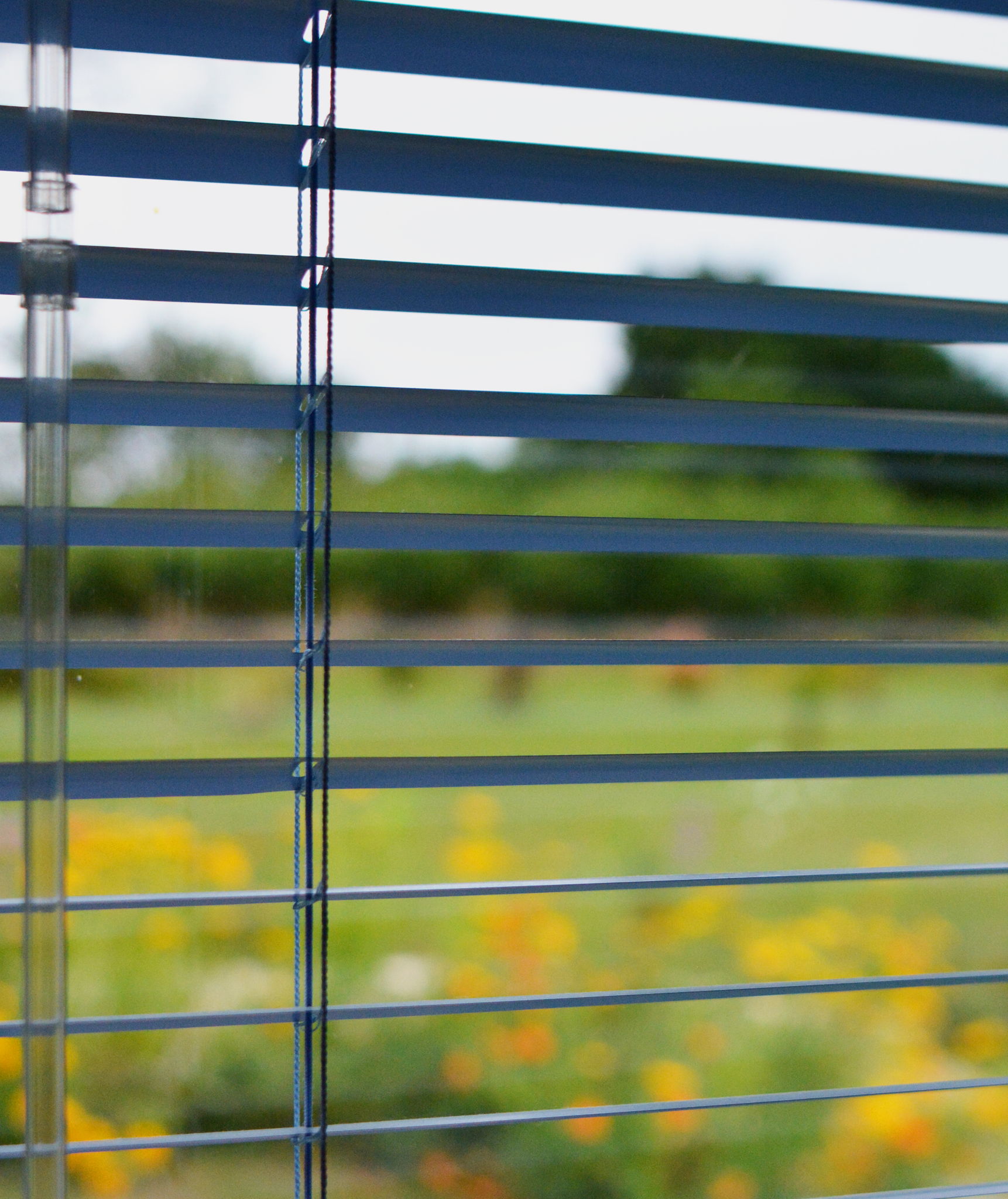 Blinds can be made of a variety of materials. Metal or wood louvered blinds can be good for walls.