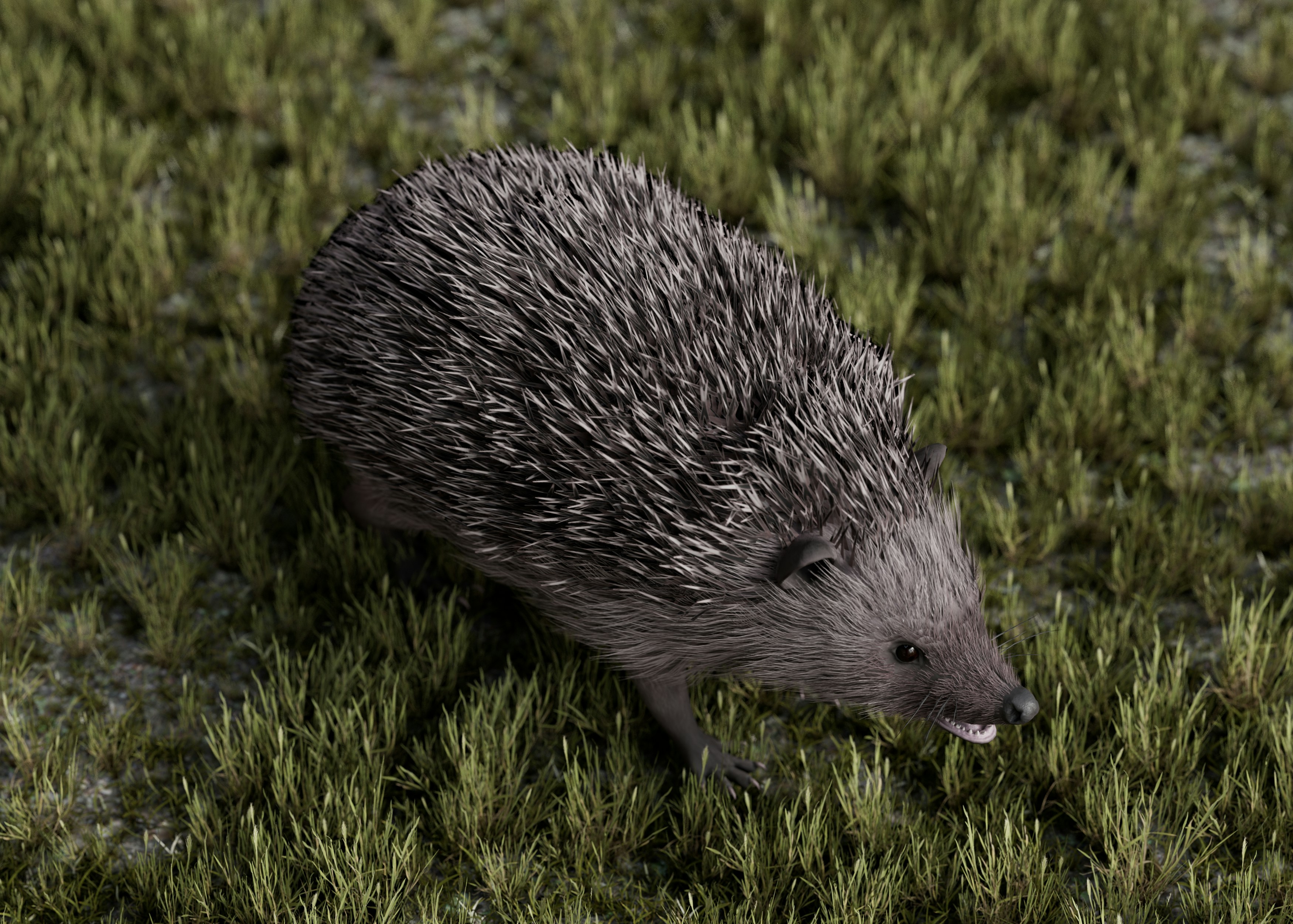 A hedgehog in grass with its mouth open