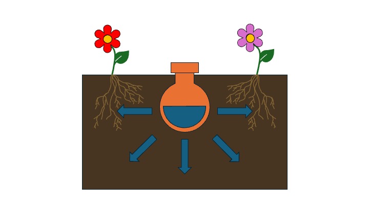 Diagram showing roots growing towards an olla