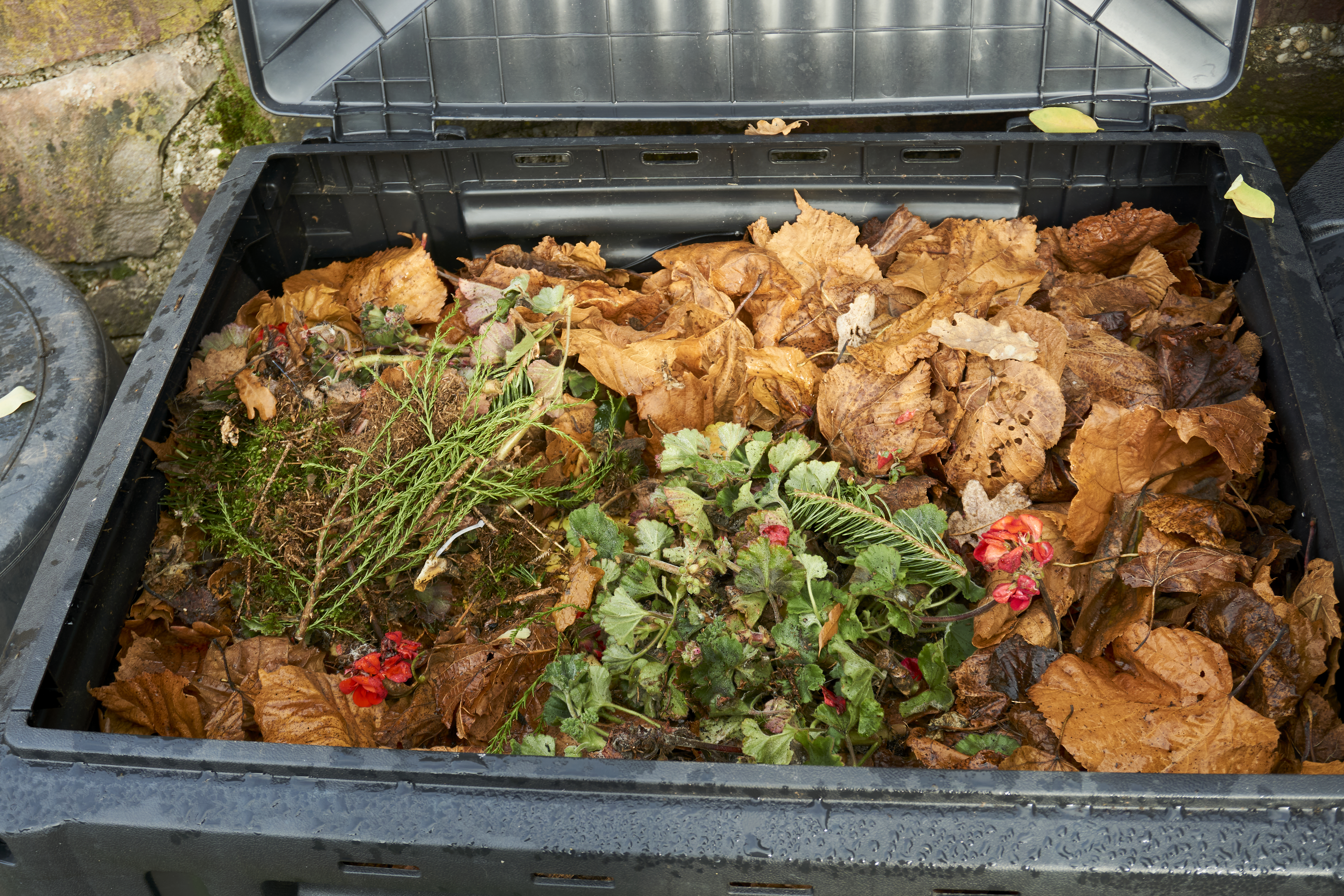 Adding compost scraps to a larger pile.