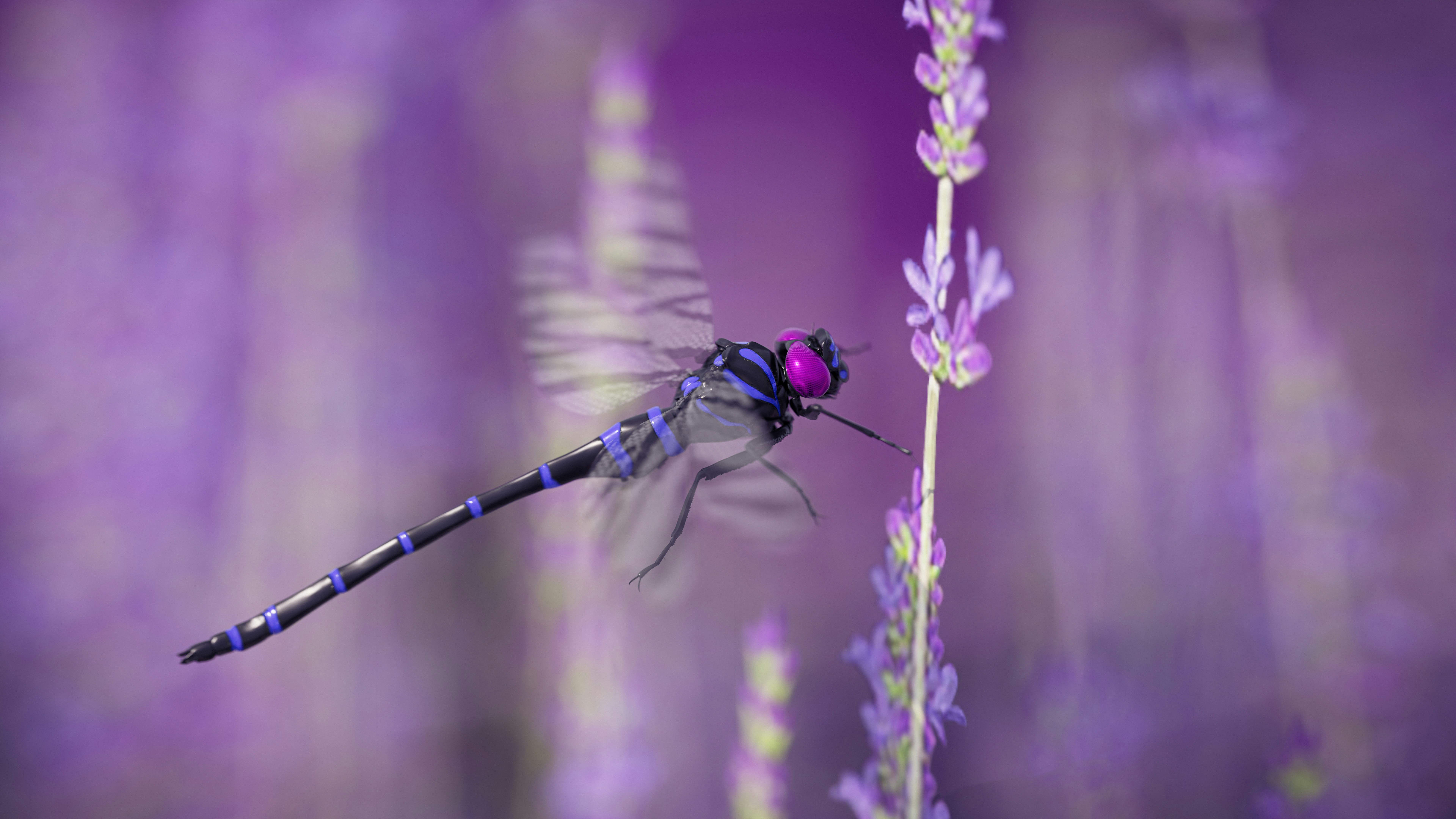 A dragonfly and some lavender