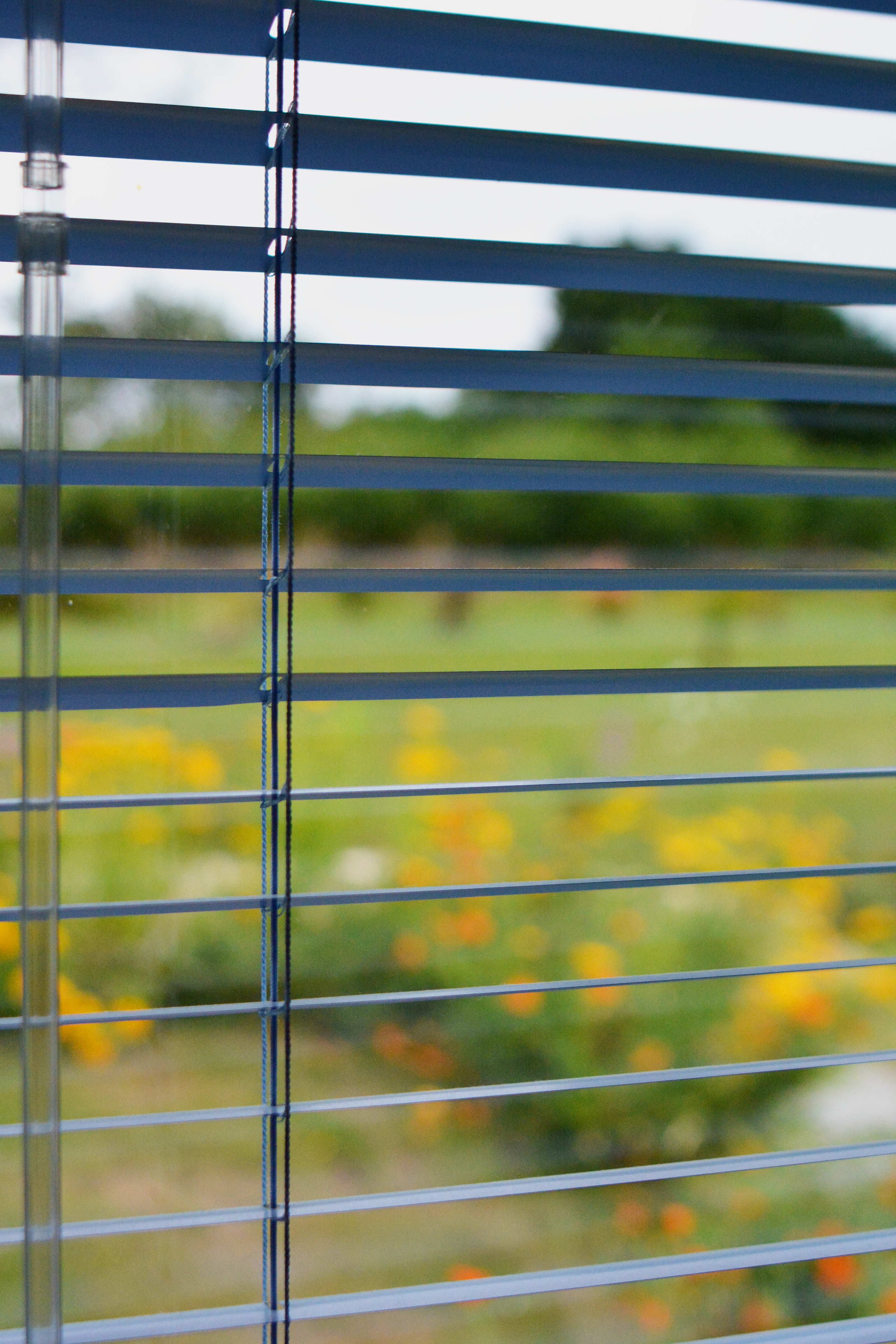 Close up of glass greenhouse window with louvred blinds