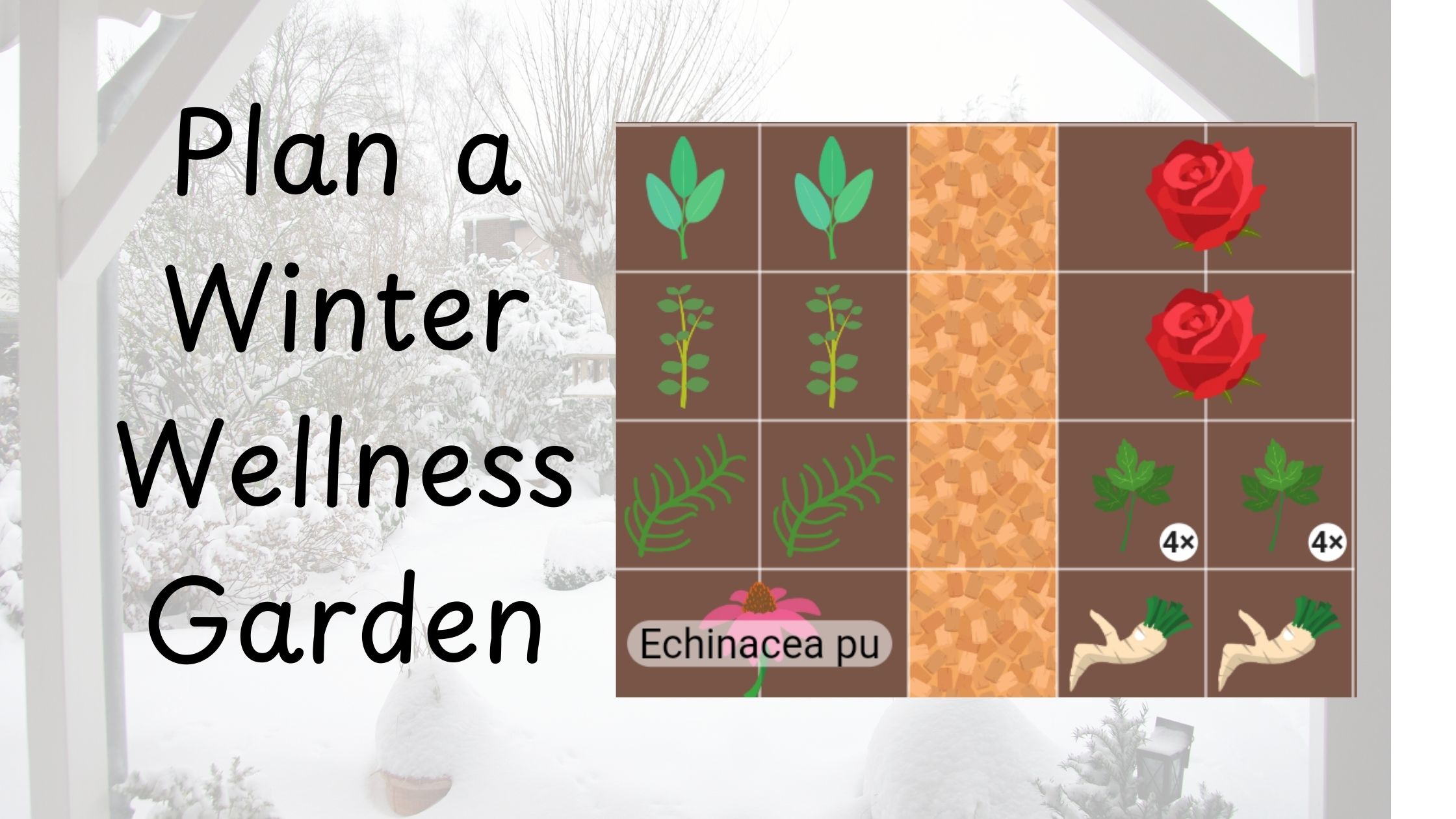 A wintery background with the text Plant a Winter Wellness Garden