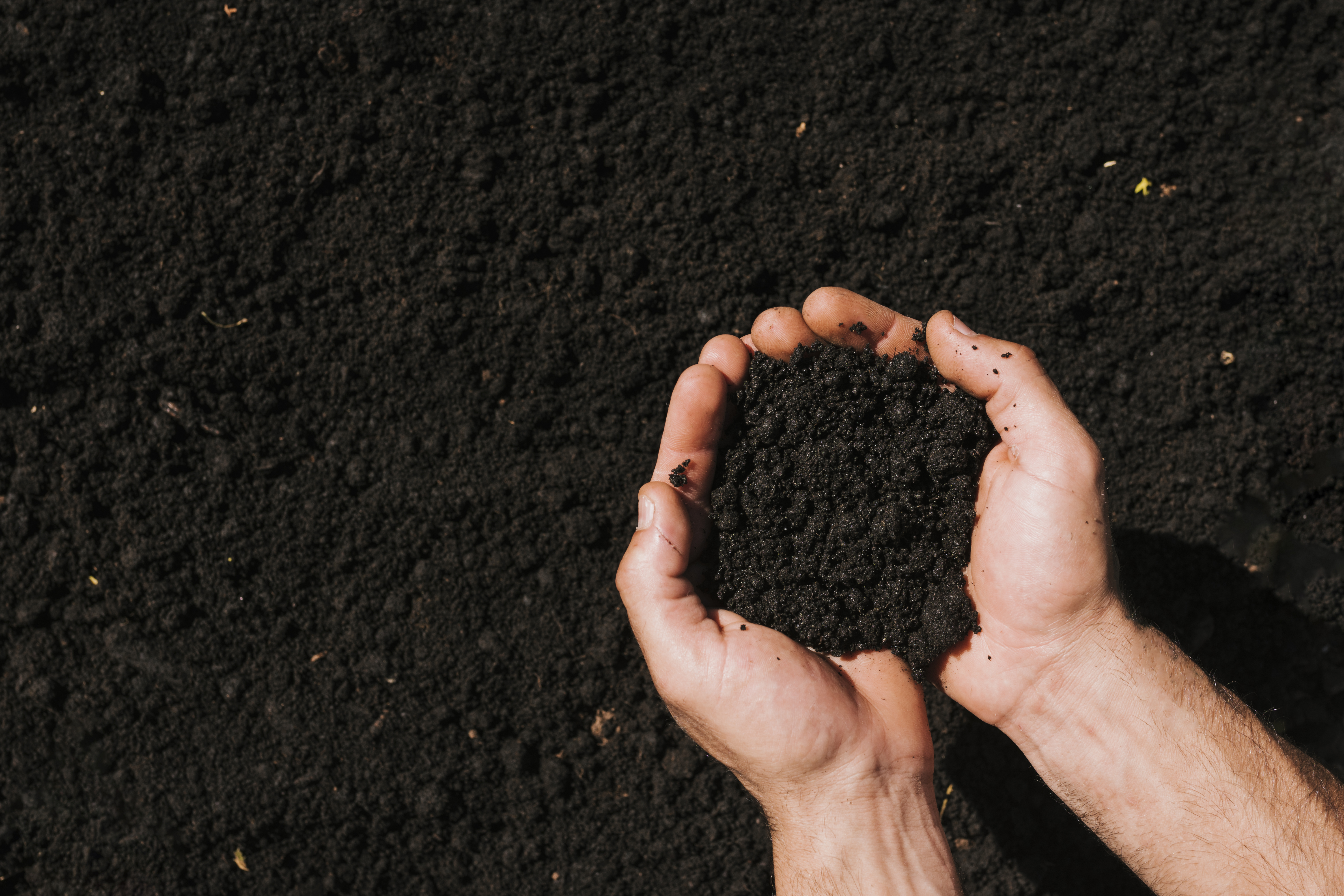 Brown soil, close-up view with hands
