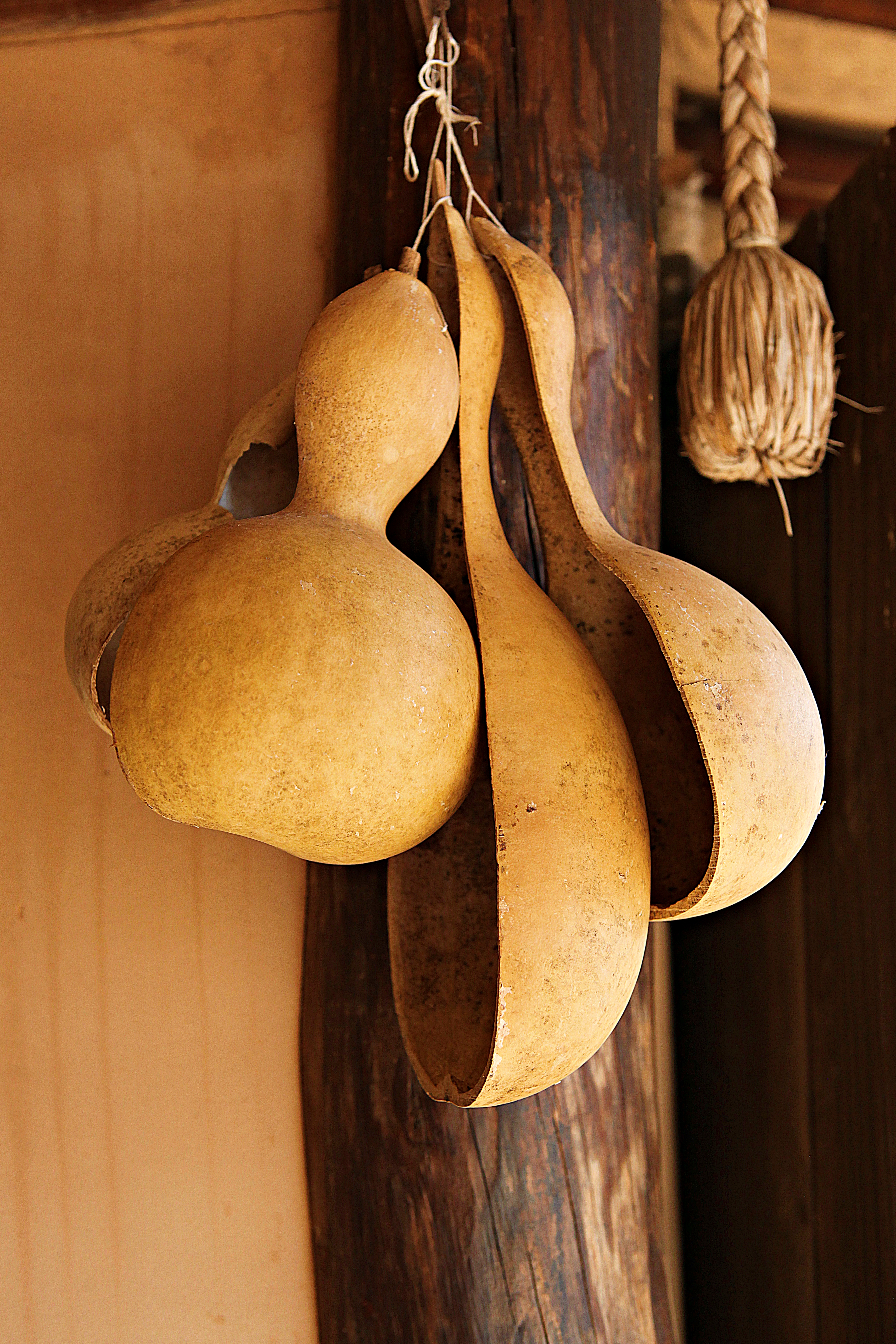 Bottle gourds hanging on a wall. Two have been carved into ladles