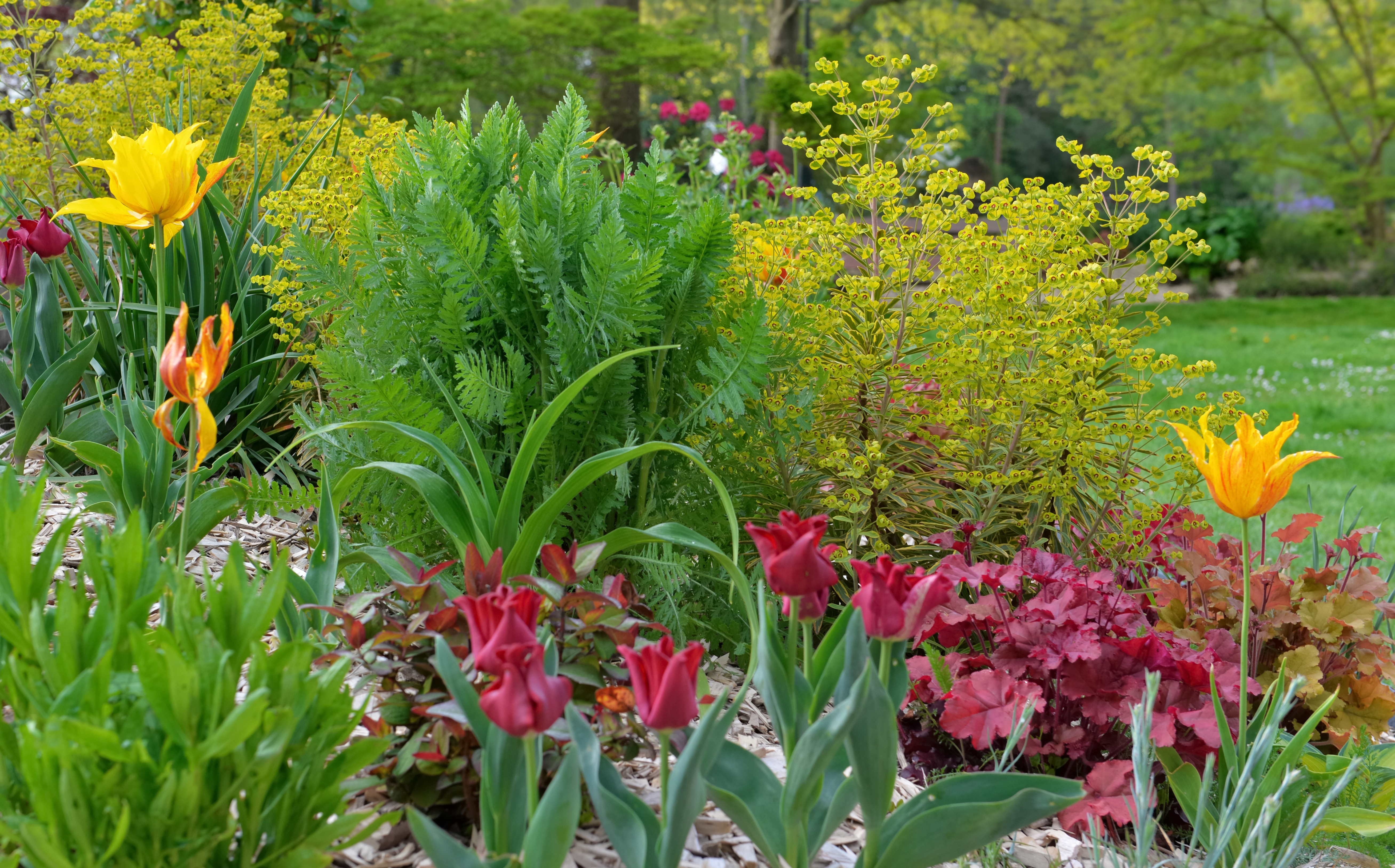 A beautiful flower border with flowers and colorful foliage