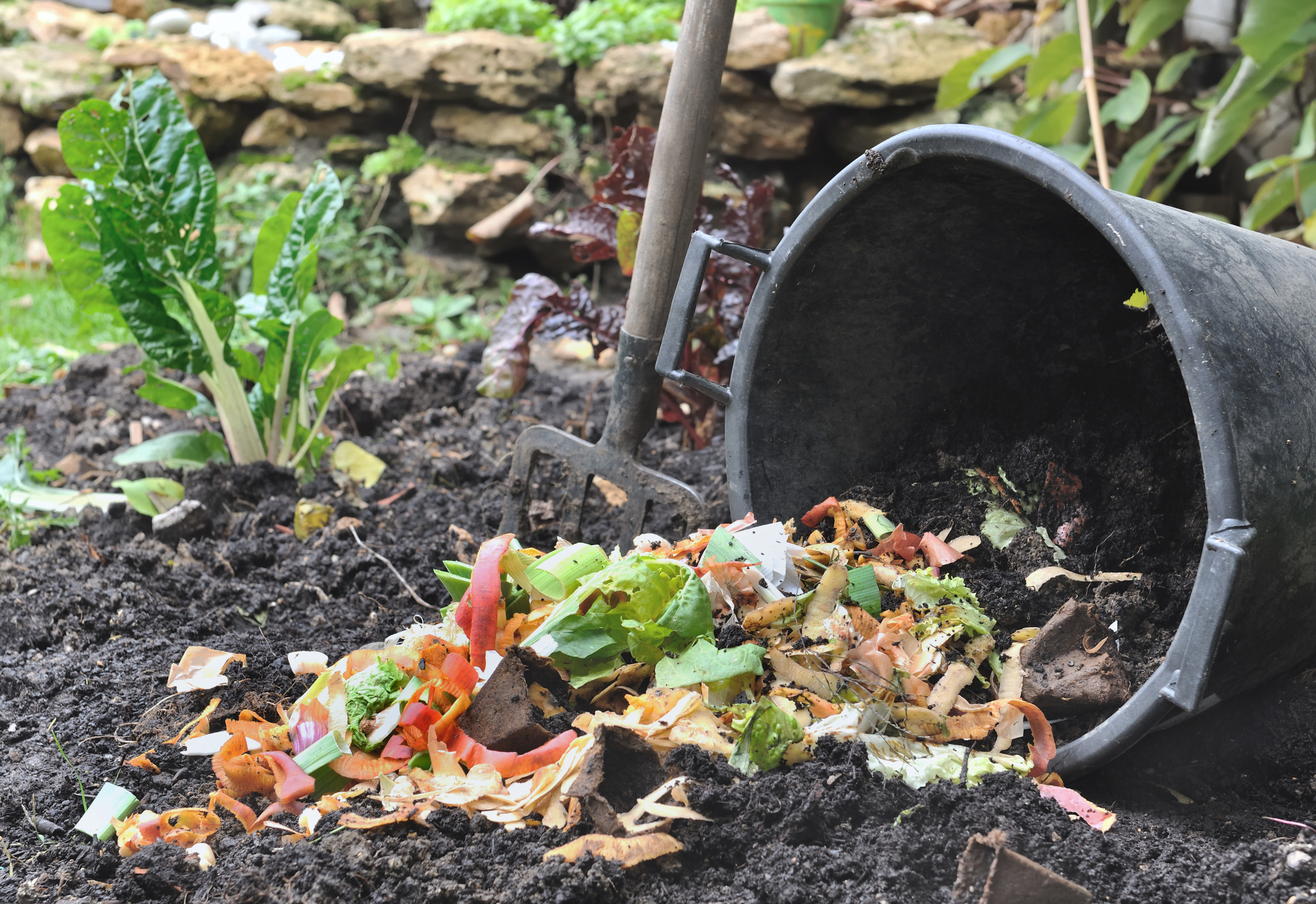 Compost being tipped onto a garden bed next to a garden fork.