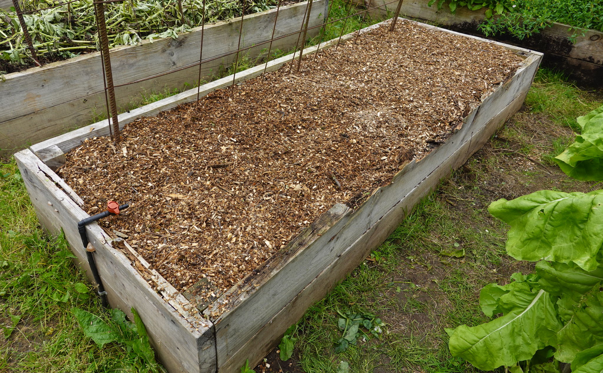 Heavily mulched garden bed