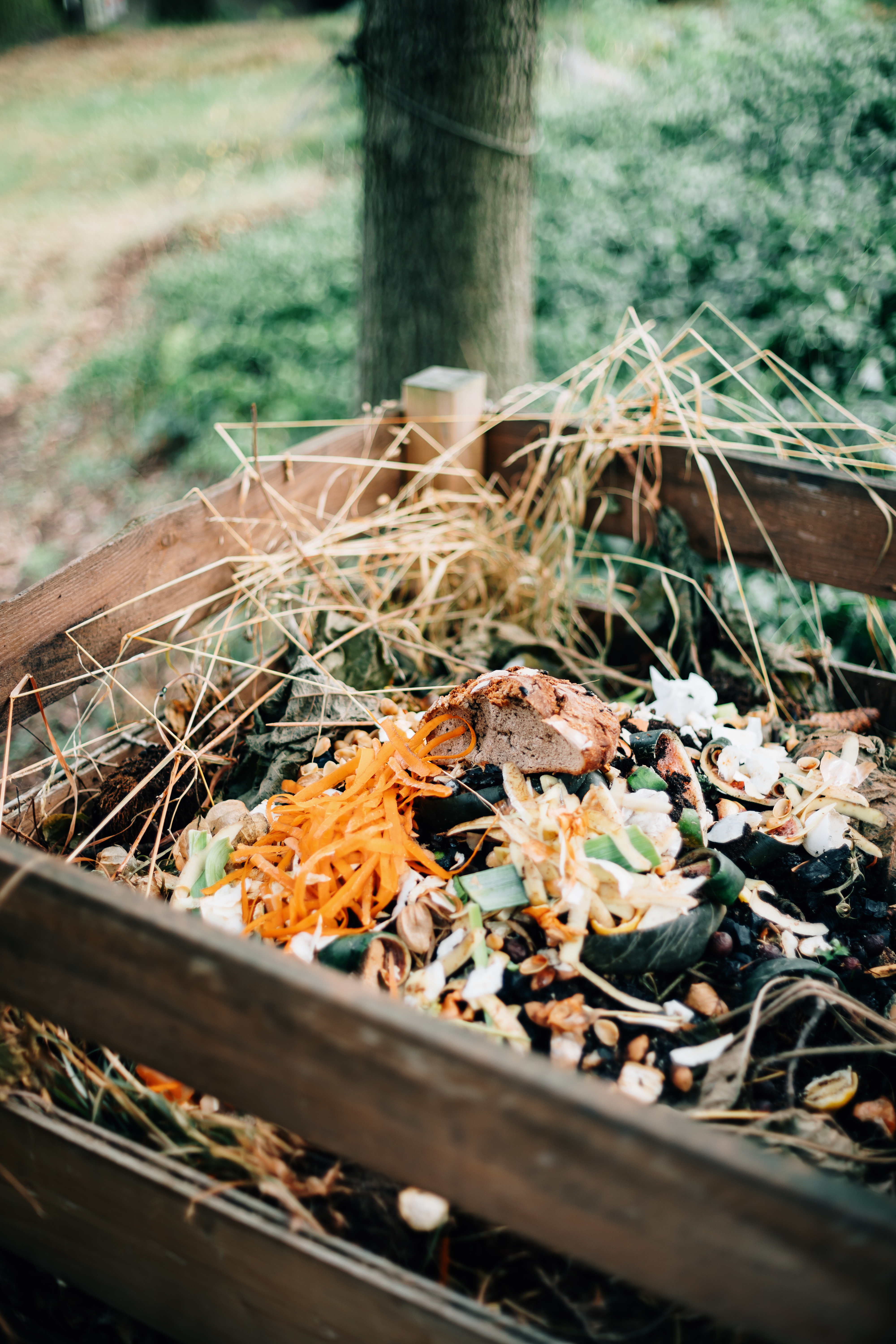 High angle view of compost outdoors with some straw and kitchen scraps