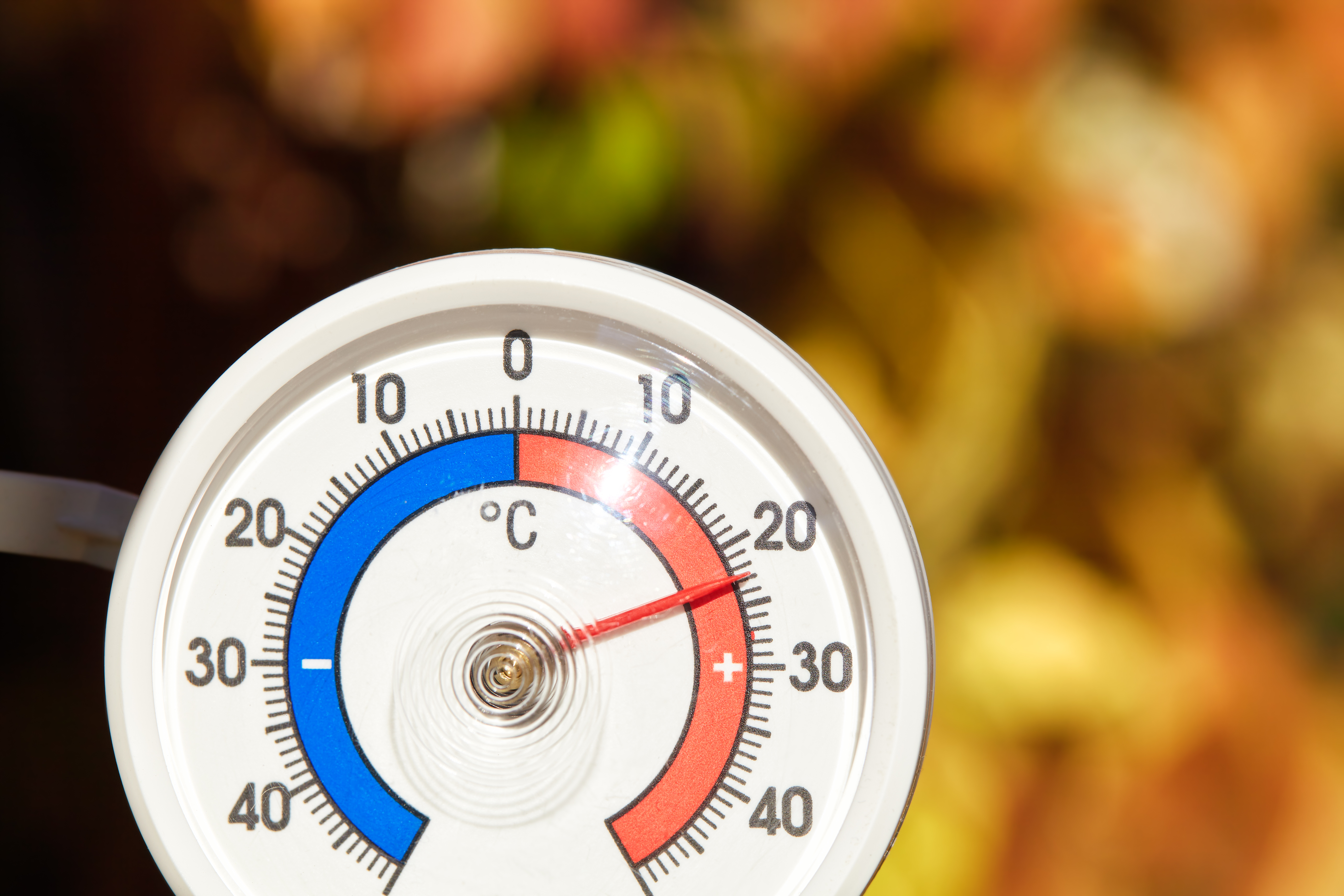 Garden thermometer showing 23 degrees celscius 