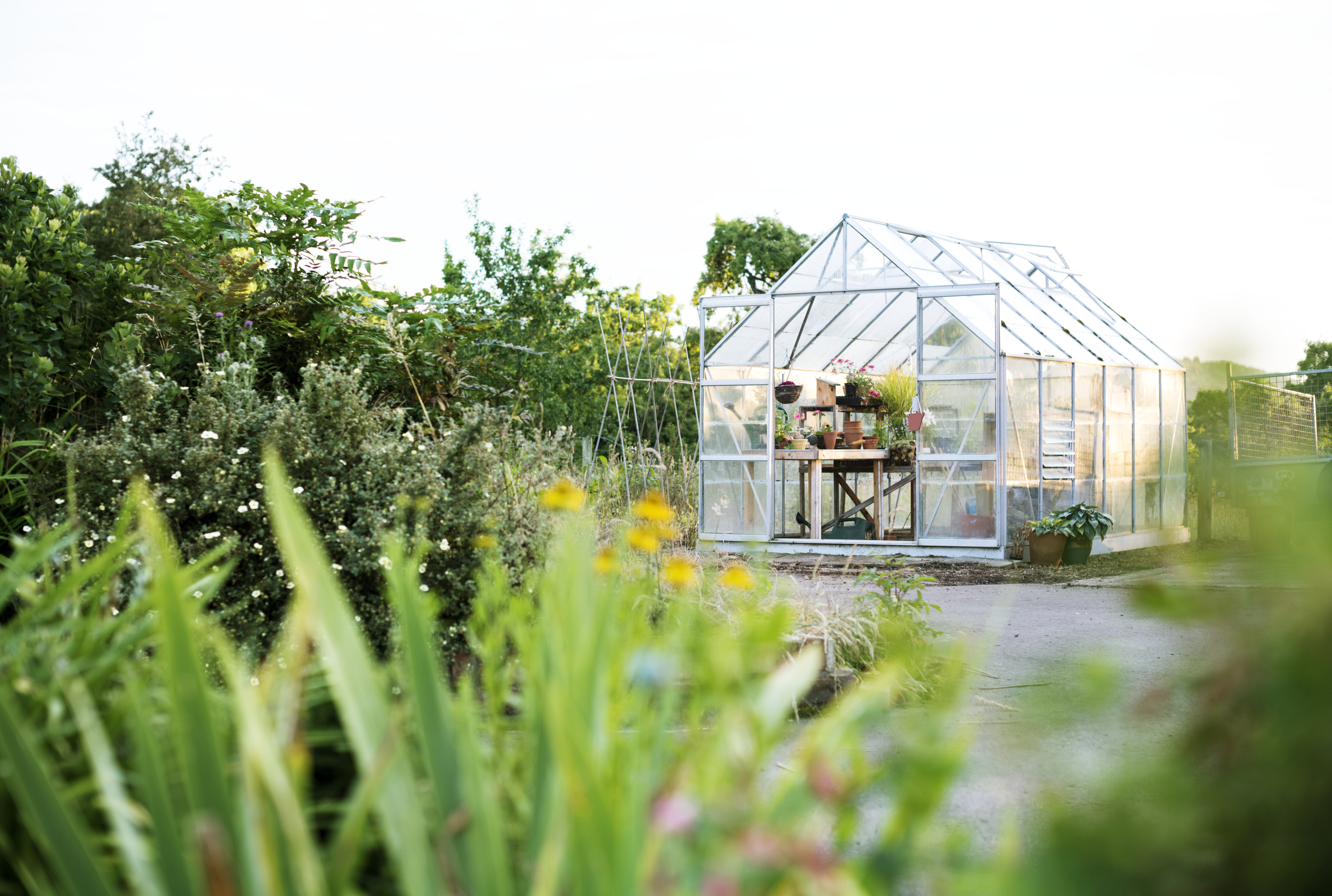 Greenhouse with doors and windows open