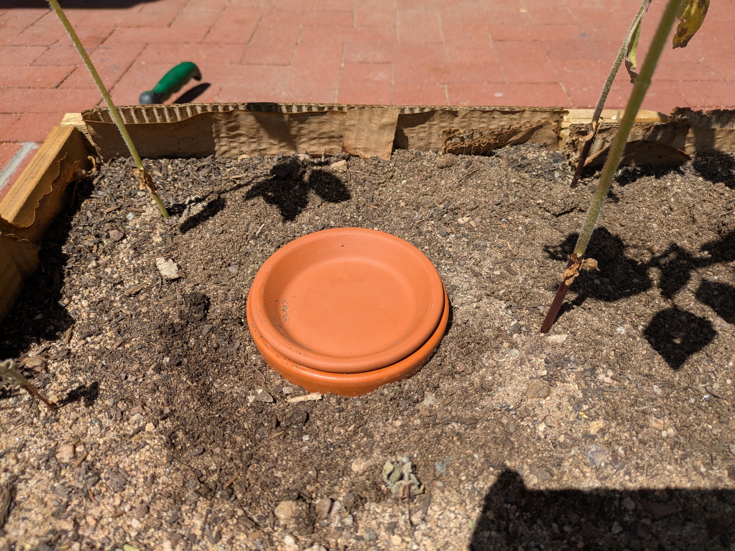 Olla with the lid on in a raised garden bed